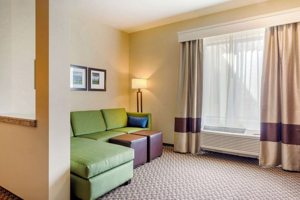 Comfort Suites Burlington near I 5 - photo 16