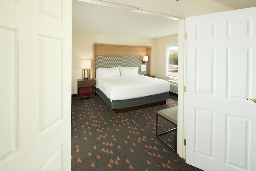 Holiday Inn & Suites Ann Arbor Univ Michigan Area by IHG - photo 20