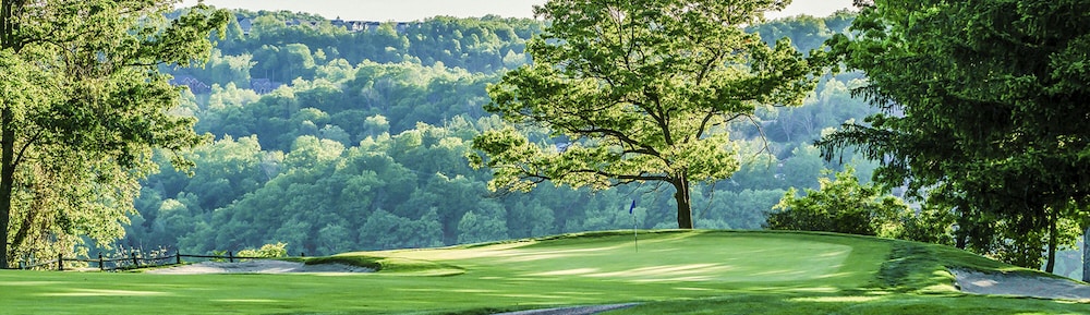 Lakeview Golf Resort Townhouses - photo 8