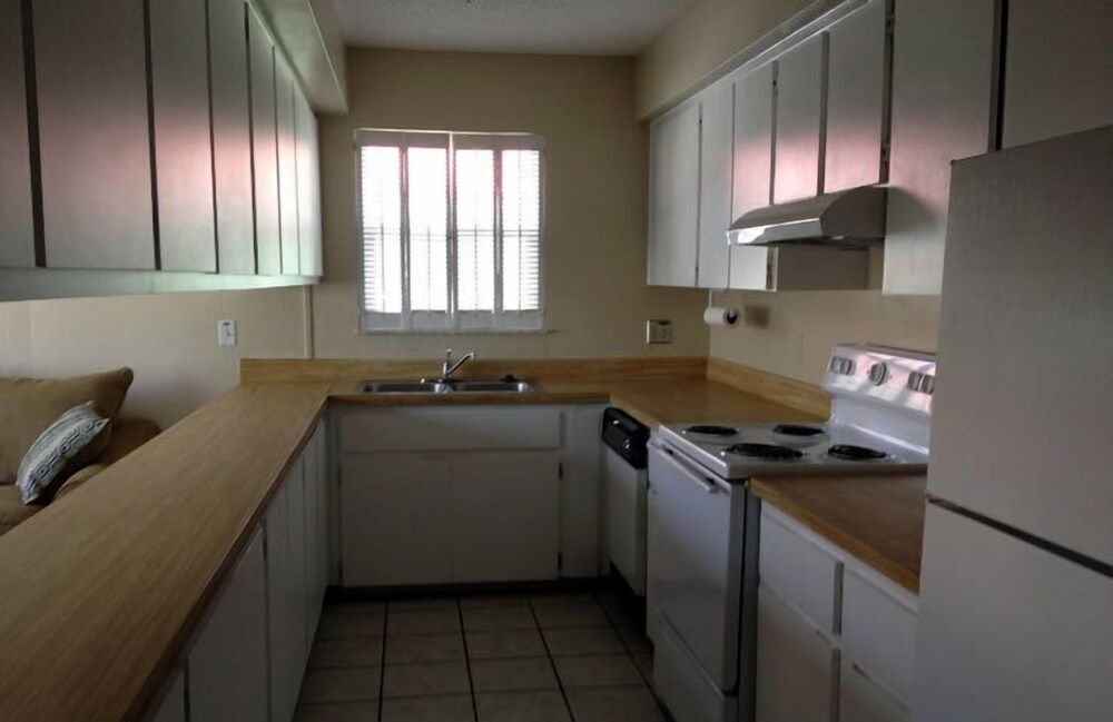 Palm Terrace - photo 24