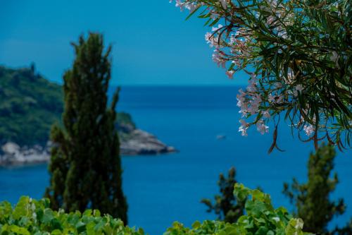 Niva 2 stunning sea view 2 bedroom apartment