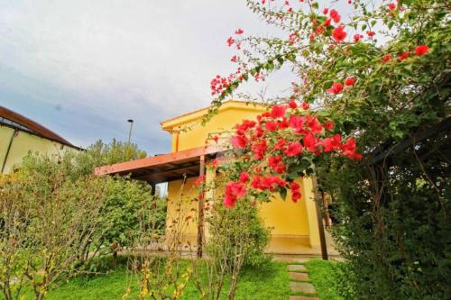 Villa Sofia — 4-Star Luxury Hotel in Botricello, Italy