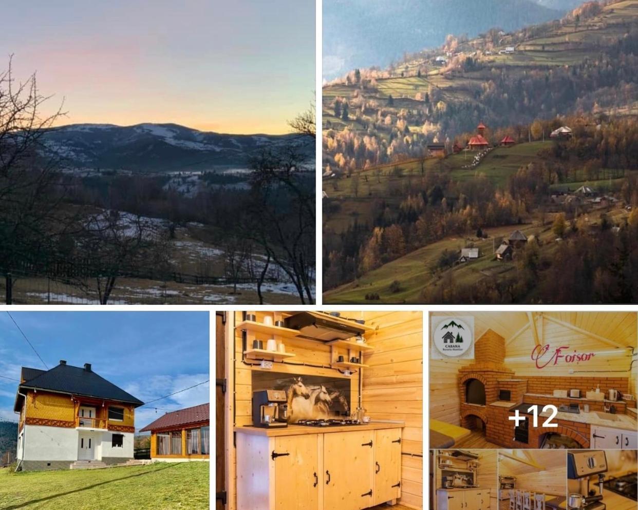 Cabana Bucuria Muntilor in Horea, Romania