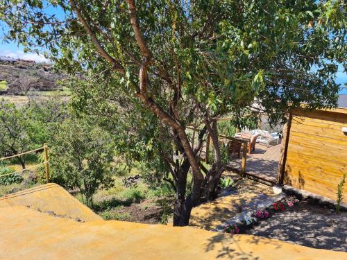 Casitas Miramar — El Paso — photo 4