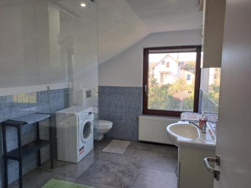Casa Anna — Tarnaveni — photo 4