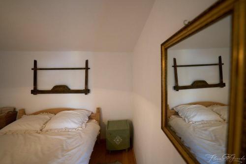 Dor de rădăcini - last minute hotel in Nemtisor