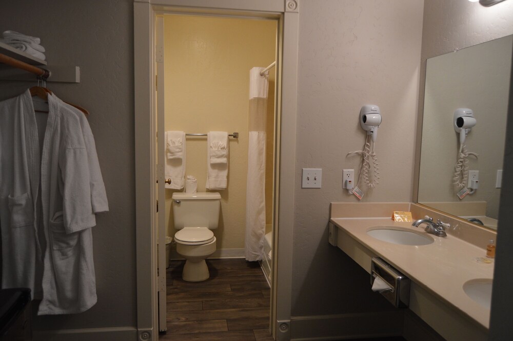 Palm Canyon Hotel & RV Resort - photo 68