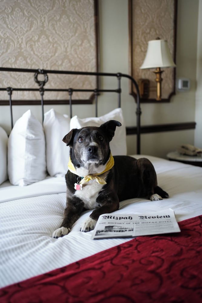 Mizpah Hotel - photo 29