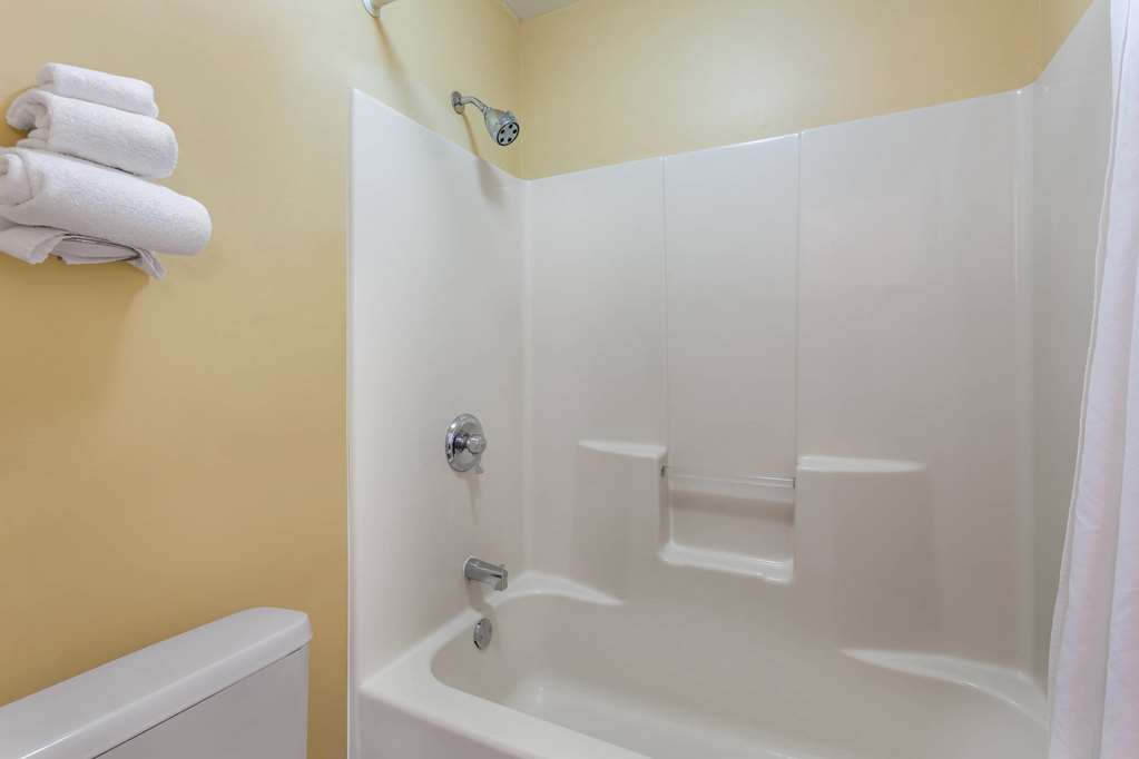 Baymont by Wyndham Easley Greenville - photo 22