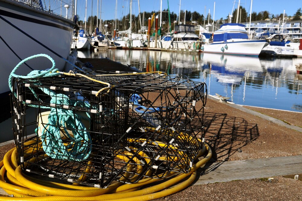 Embarcadero Resort Hotel & Marina - photo 90