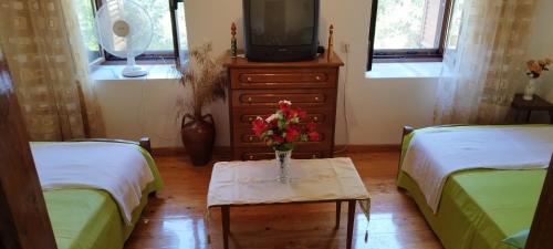 Cabana Soveja - carbon neutral hotel in Vidra