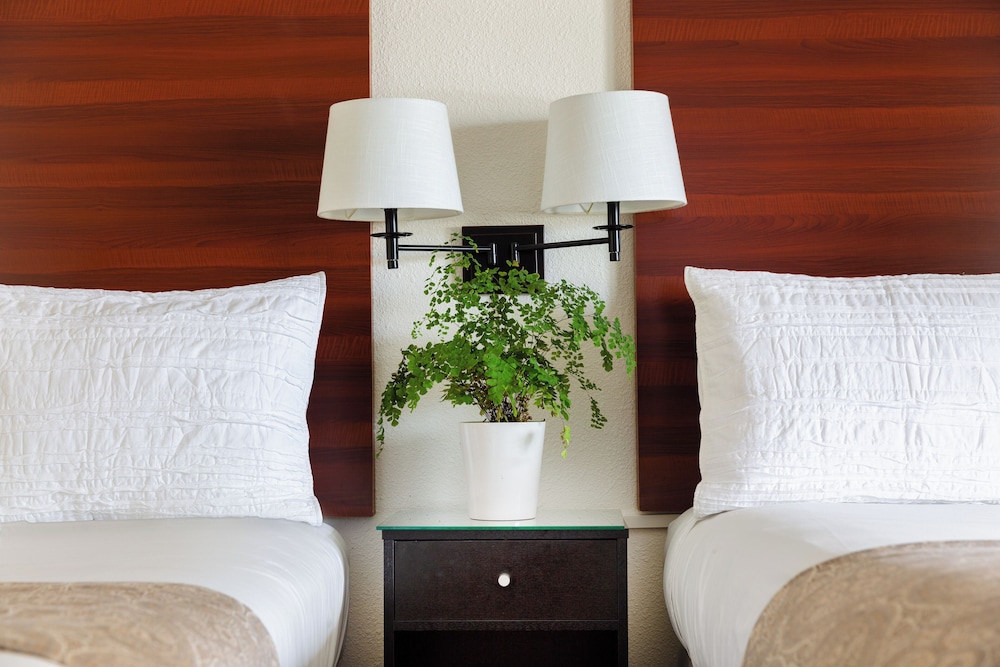 Diablo Mountain Inn Walnut Creek - photo 12