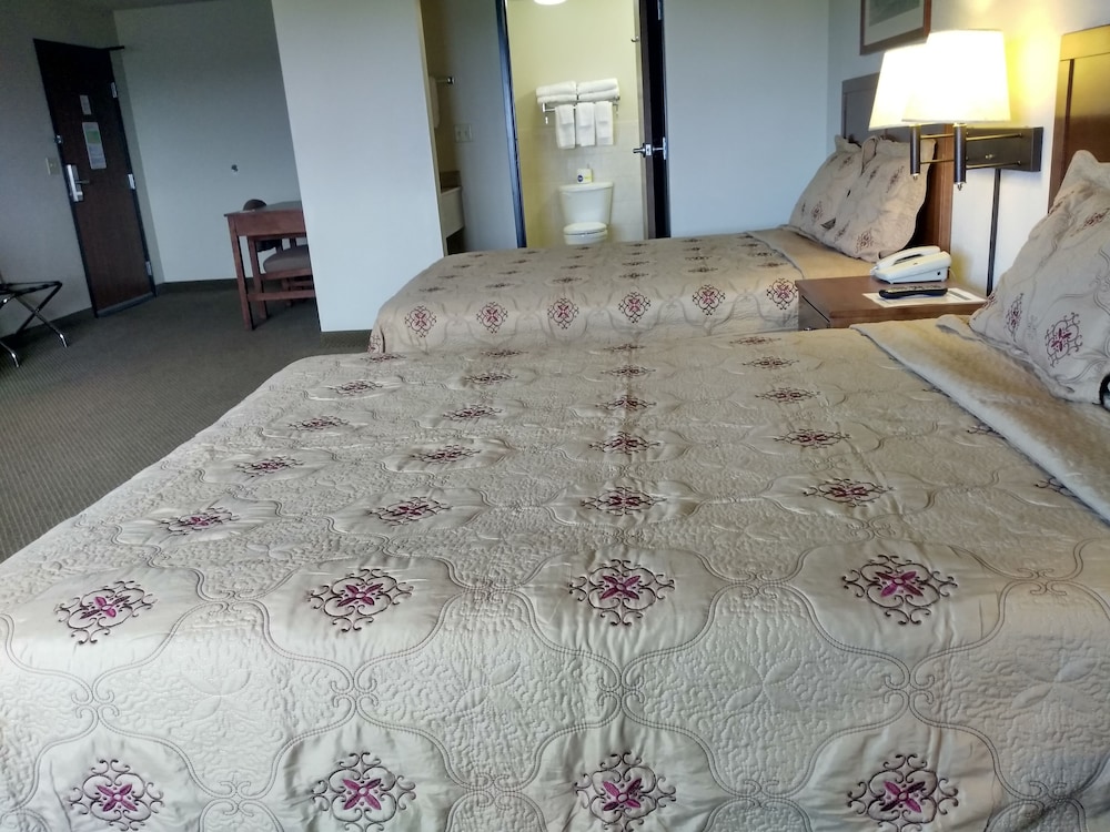 Madelia Hotel & Suites - photo 28