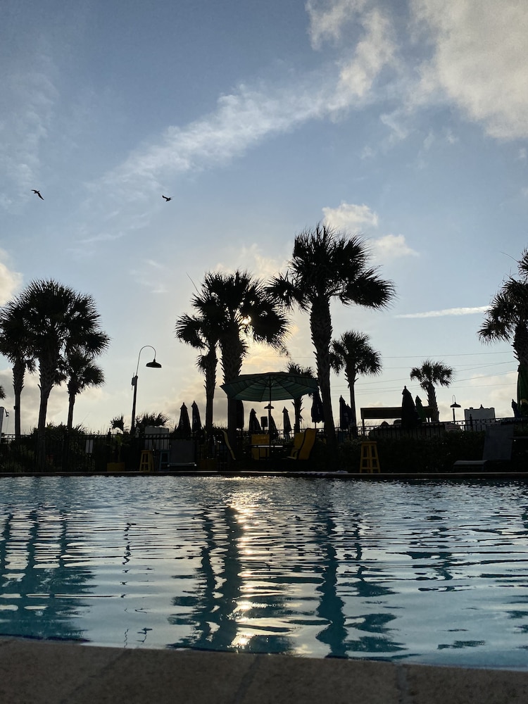 Seahorse Oceanfront Inn - photo 87