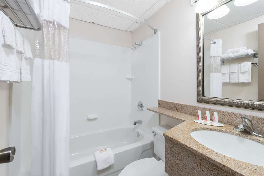 Days Inn by Wyndham Bismarck - photo 11