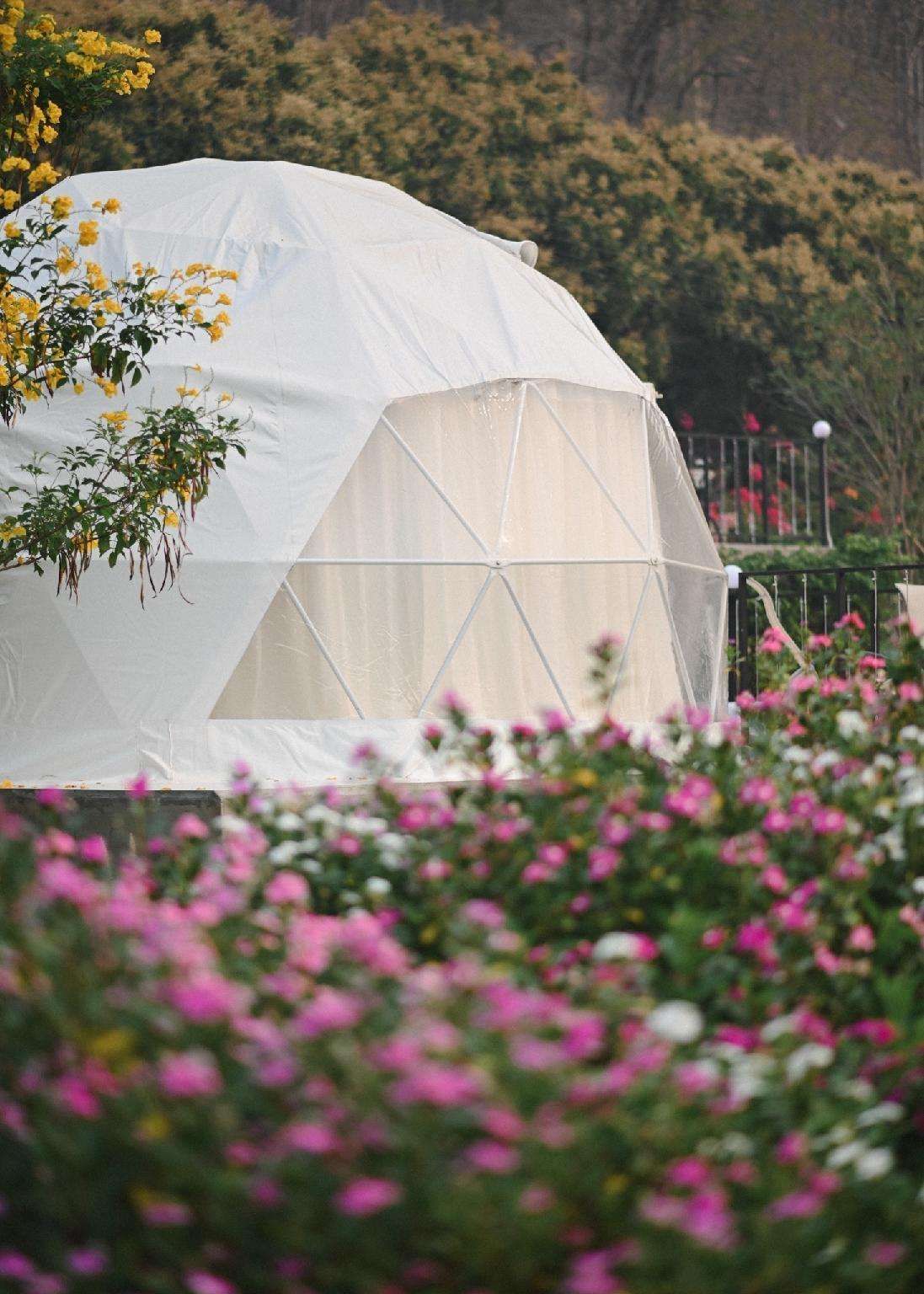 Vivi Fiore - last minute hotel in Chiang Mai