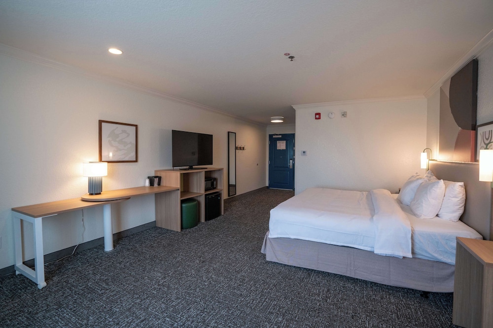 Spark by Hilton Brandon - photo 14