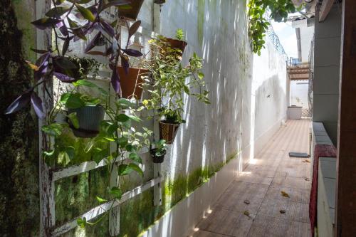 Cantinho especial — Recife — photo 4