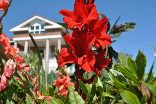 Fuente el Hayedo in San Vicente De La Barquera, Spain