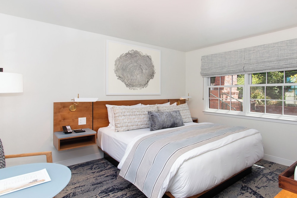 Carmel Beach Hotel - photo 6