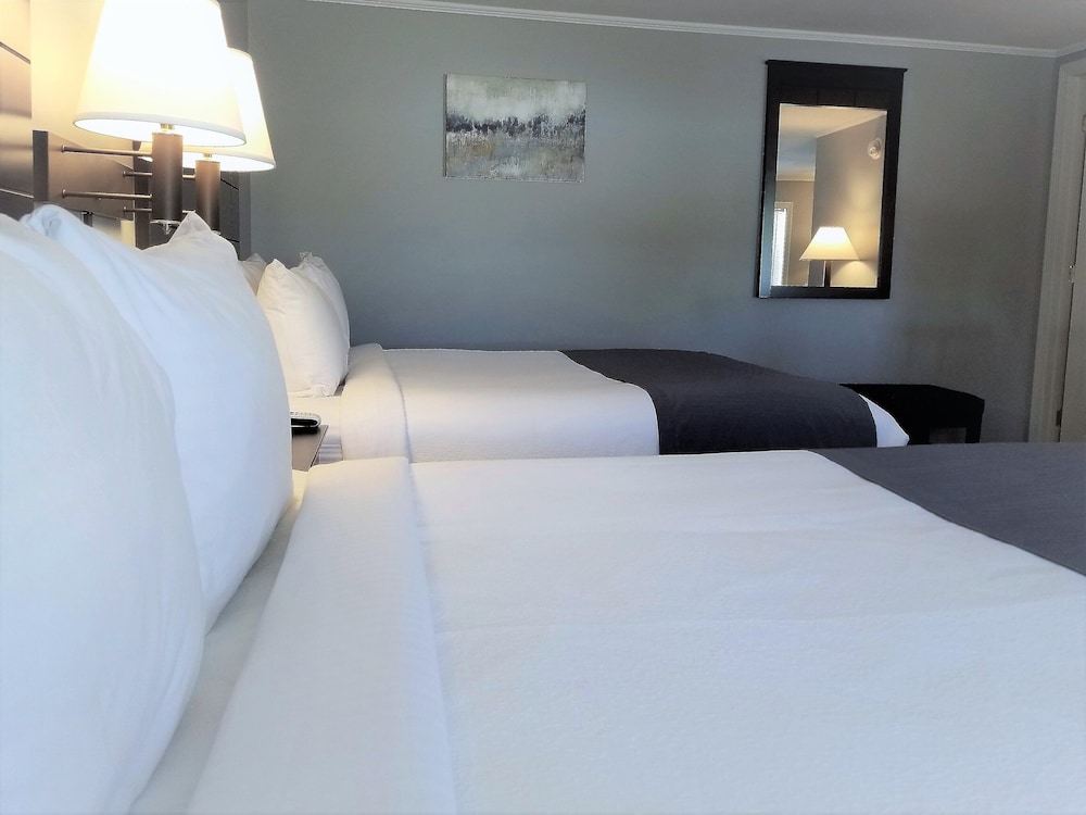 Mt Madison Inn & Suites - photo 7