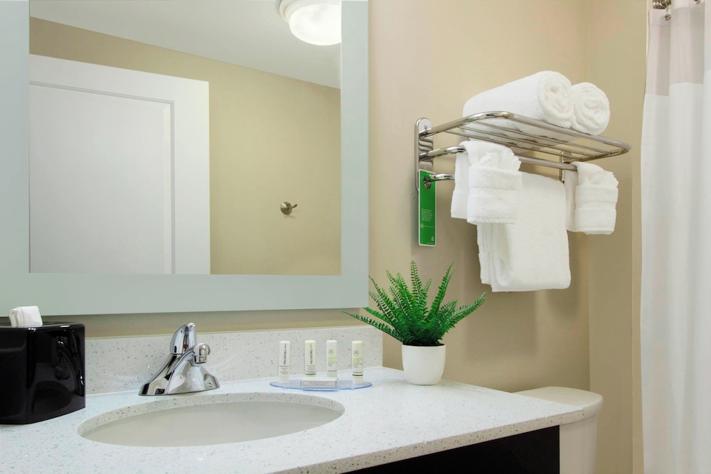 TownePlace Suites Dallas McKinney - photo 67