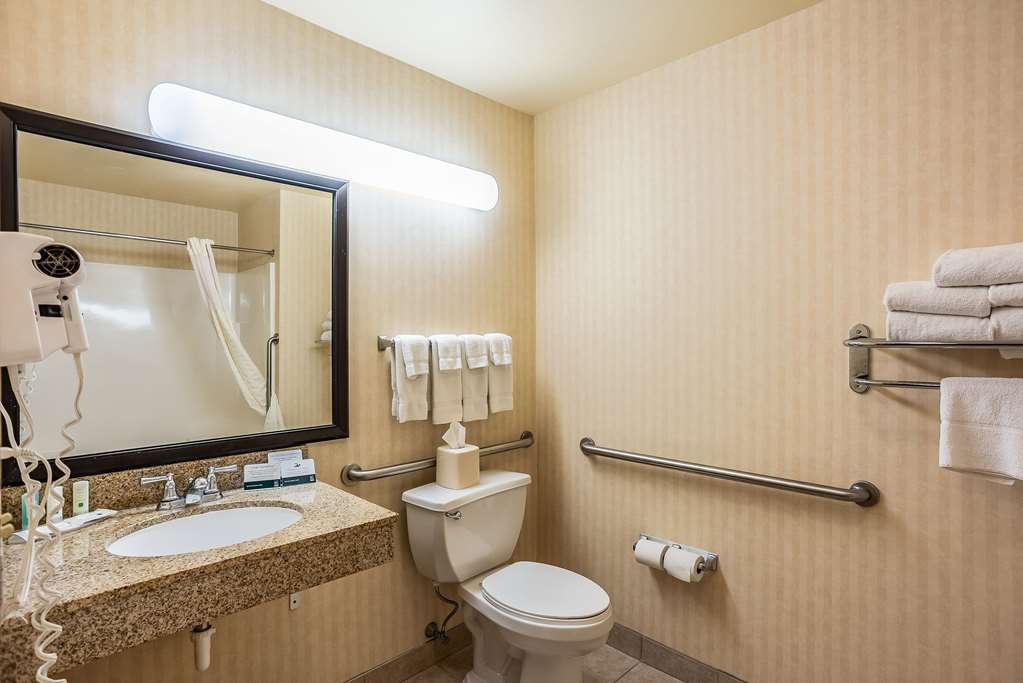 Quality Inn & Suites Hannibal West - photo 17