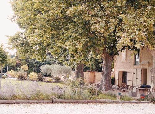 Mas De La Finiere — Chateaurenard