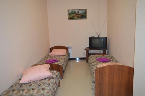 Astor Hotel - carbon neutral hotel in Irkutsk