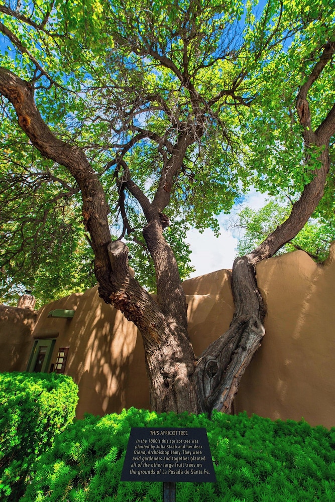 La Posada de Santa Fe A Tribute Portfolio Resort & Spa by Marriott - photo 99