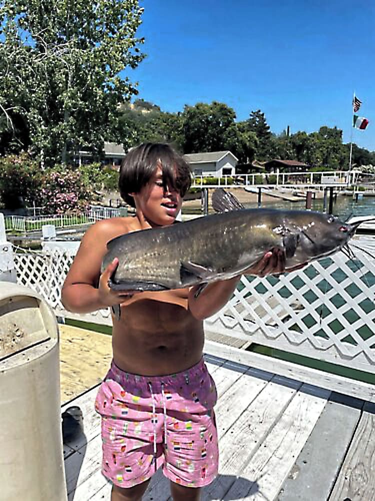 Blue Fish Cove Resort - photo 2