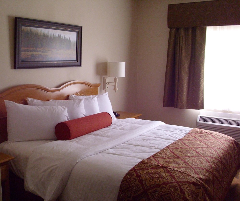 Savanna Inn & Suites - photo 13