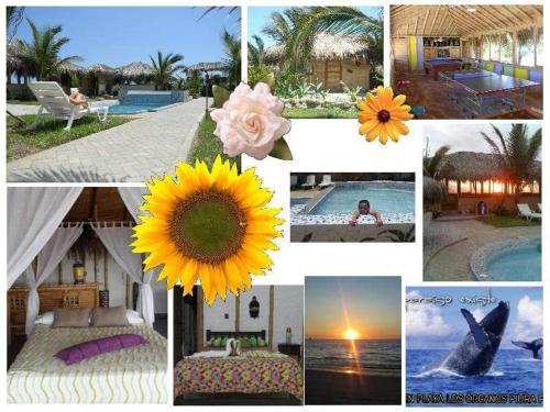 Bora Bora Bungalows in Los Organos, Peru