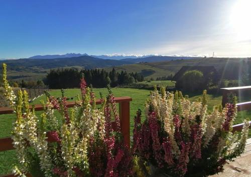Domek Wichrówka z widokiem na góry in Nowy Targ, Poland