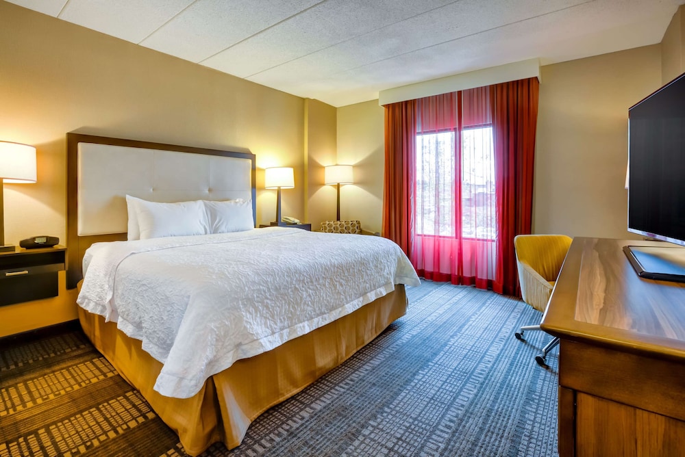 Hampton Inn Boston Norwood - photo 10