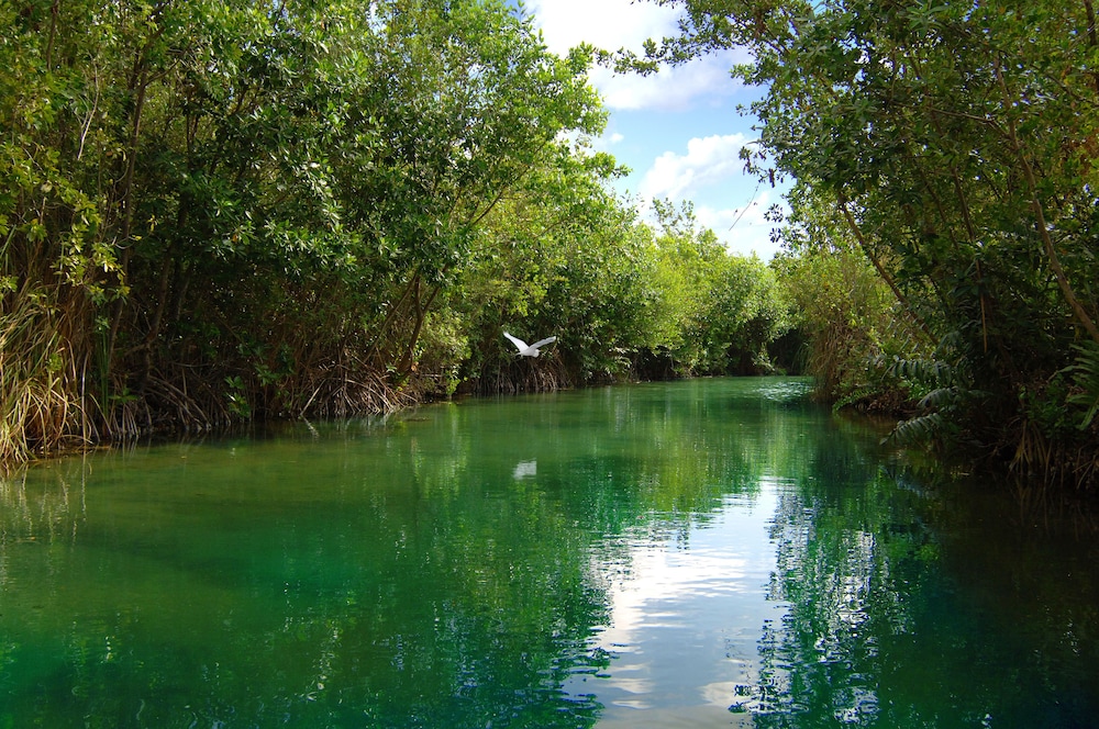 Lake