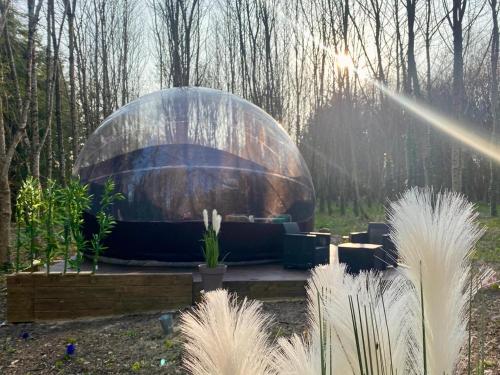 Logement Insolite Bubble Jungle — hotel in Saint-Evarzec