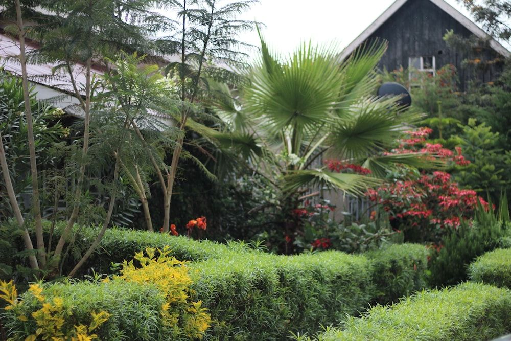 Afrikana Yard — Kitale — photo 2