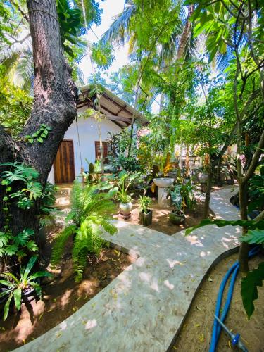 Starfish Cabbana - last minute hotel in Unknown City