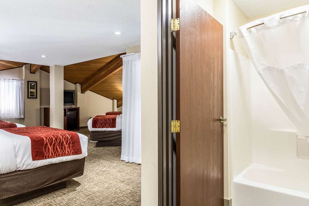 Comfort Inn Norwalk Sandusky - photo 19