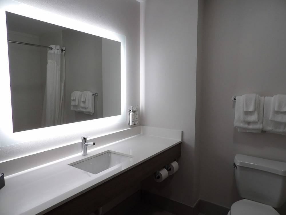 Holiday Inn Express & Suites Huntsville Airport by IHG - photo 10