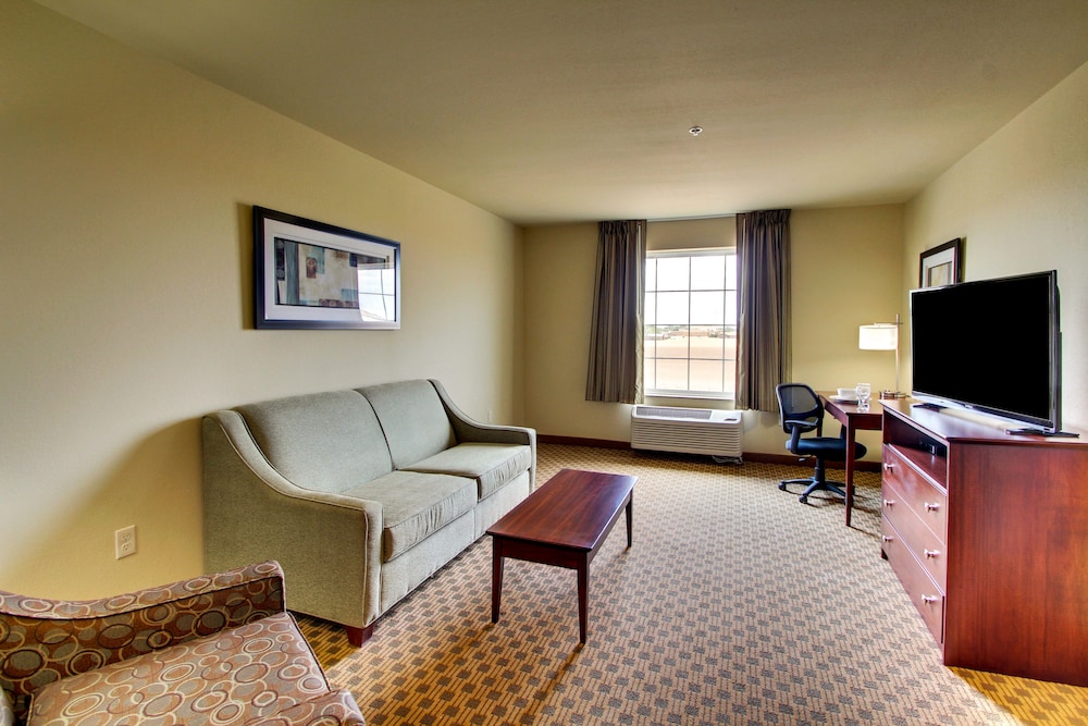 Cobblestone Hotel & Suites Pecos - photo 25