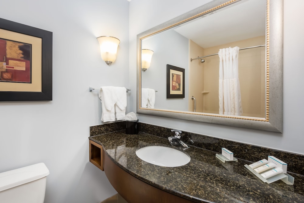 Hilton Garden Inn St. Louis Shiloh O'Fallon IL - photo 31