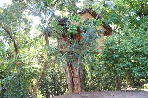 Tree House Midigama — 4-Star Luxury Hotel in Weligama, Sri Lanka