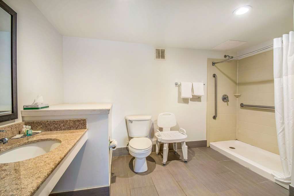 Quality Inn & Suites York East - photo 23