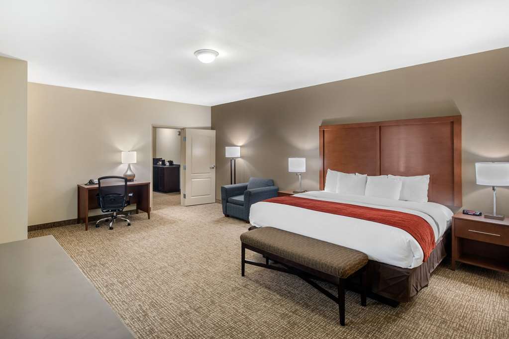 Comfort Inn & Suites Cedar Hill Duncanville - photo 25