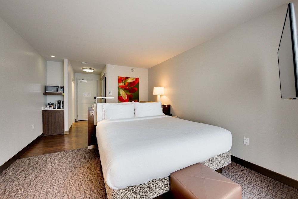 Hilton Garden Inn North Houston Spring - photo 9