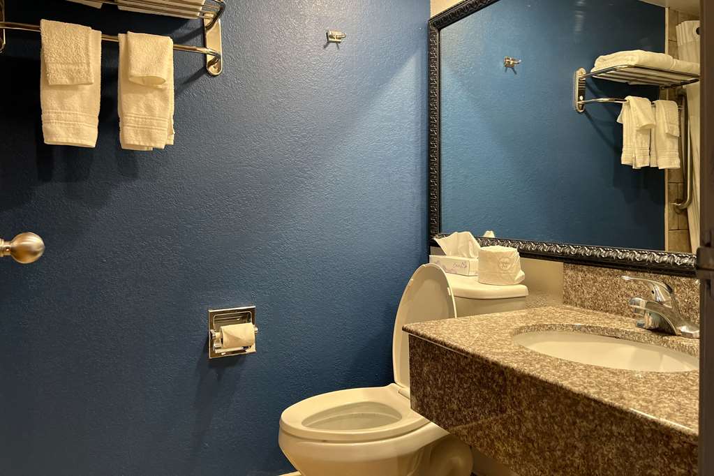Quality Inn & Suites Louisville East - photo 9