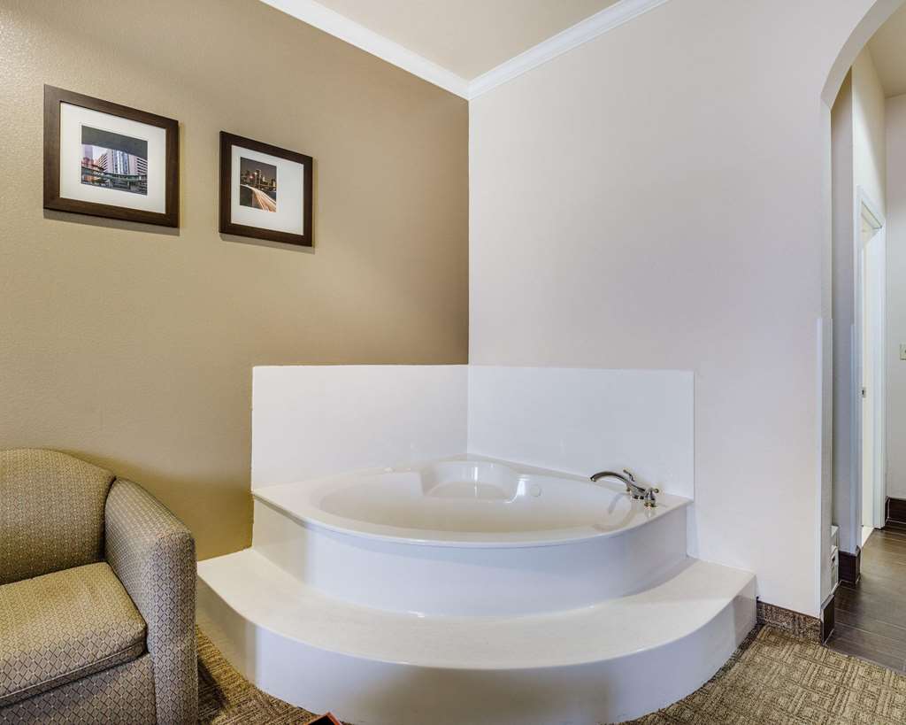 Comfort Suites Deer Park Pasadena - photo 10