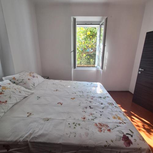 Lemon Garden Apartment